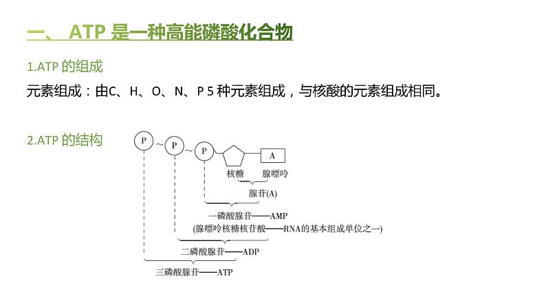 高中生物人教版（2019）必修1第五章5.2《细胞的能量“货币”ATP》课件+同步练习03