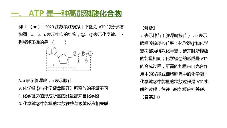 高中生物人教版（2019）必修1第五章5.2《细胞的能量“货币”ATP》课件+同步练习06