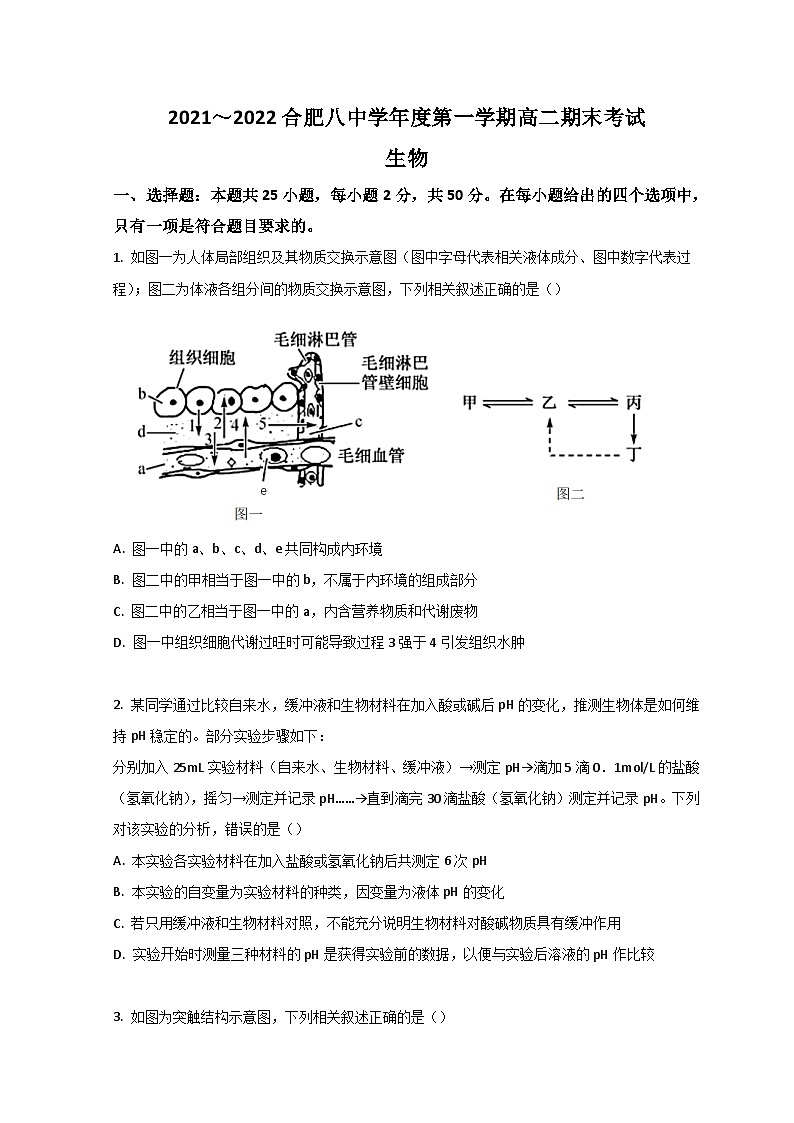 安徽省合肥市第八中学2021-2022学年高二上学期期末考试生物试卷01