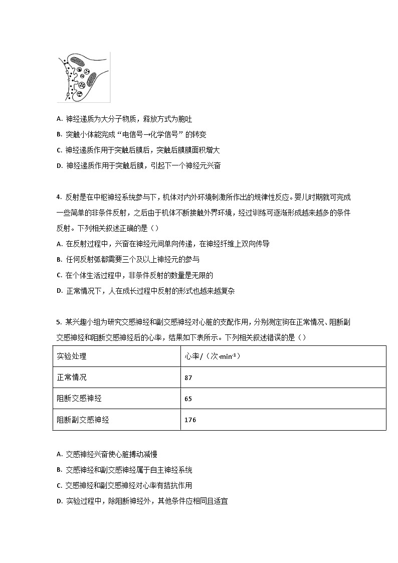 安徽省合肥市第八中学2021-2022学年高二上学期期末考试生物试卷02