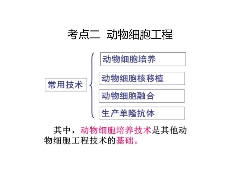 2023届高三生物第一轮复习： 动物细胞工程 课件第2页