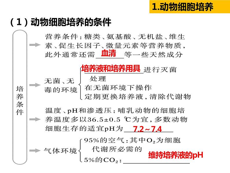 2023届高三生物第一轮复习： 动物细胞工程 课件第3页