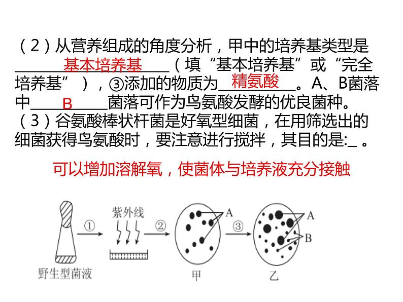 2023届高三生物第一轮复习： 微生物培养技术及应用 课件第4页