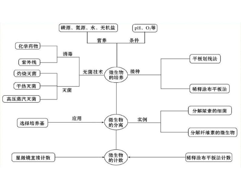 2023届高三生物第一轮复习： 微生物培养技术及应用 课件第5页