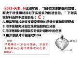 2023届高三生物第一轮复习：观察根尖分生区组织细胞的有丝分裂实验  课件