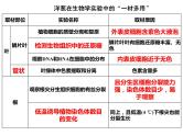 2023届高三生物第一轮复习：观察根尖分生区组织细胞的有丝分裂实验  课件