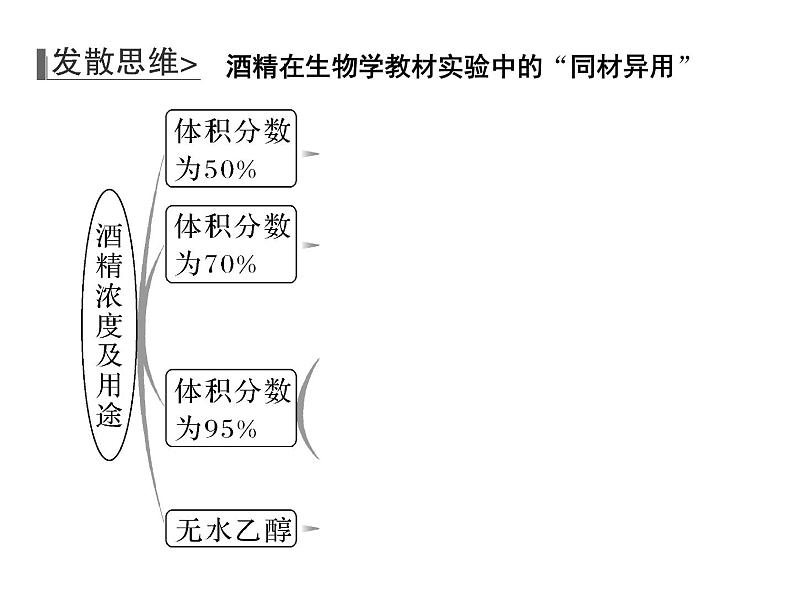 2023届高三生物第一轮复习：观察根尖分生区组织细胞的有丝分裂实验  课件第8页