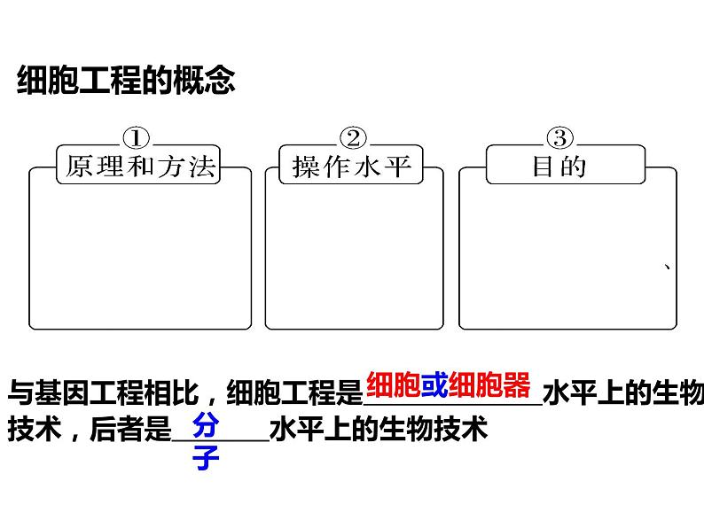 2023届高三生物第一轮复习： 植物细胞工程 课件第2页