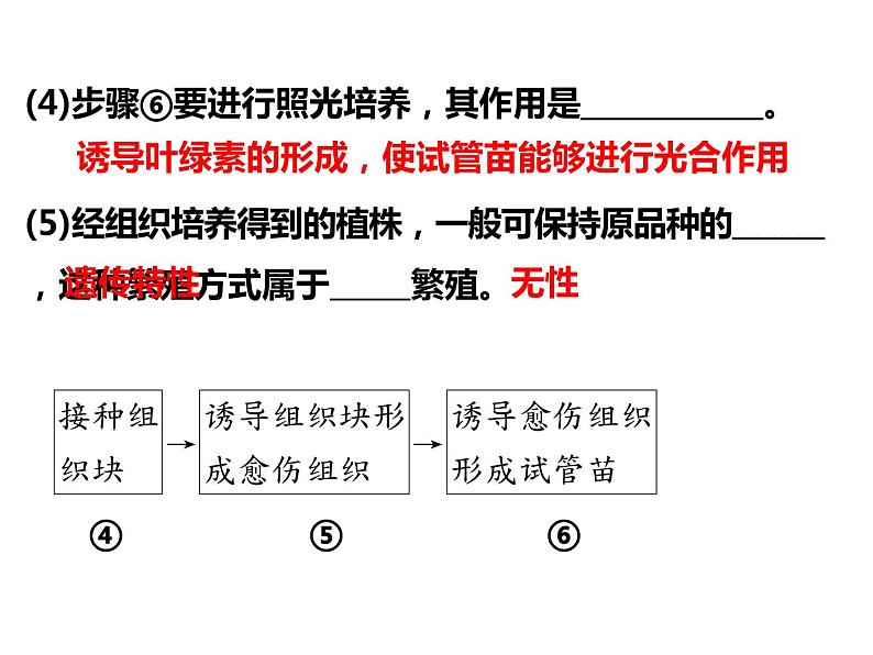 2023届高三生物第一轮复习： 植物细胞工程 课件第7页