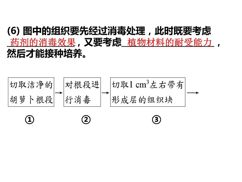 2023届高三生物第一轮复习： 植物细胞工程 课件第8页