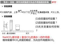 2023届高三生物第一轮复习：光合速率的测定方法  课件