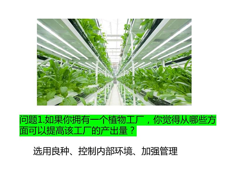 2023届高三生物第一轮复习：光合作用的影响因素及应用  课件第3页