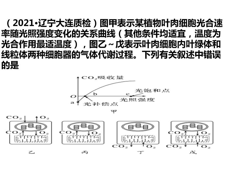 2023届高三生物第一轮复习：光合作用的影响因素及应用  课件第7页