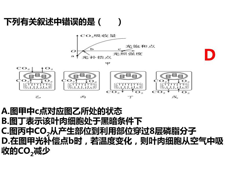 2023届高三生物第一轮复习：光合作用的影响因素及应用  课件第8页