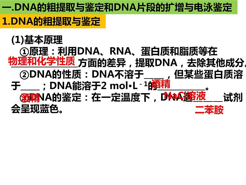 2023届高三生物第一轮复习：基因工程与生物技术的安全性及伦理道德  课件第3页