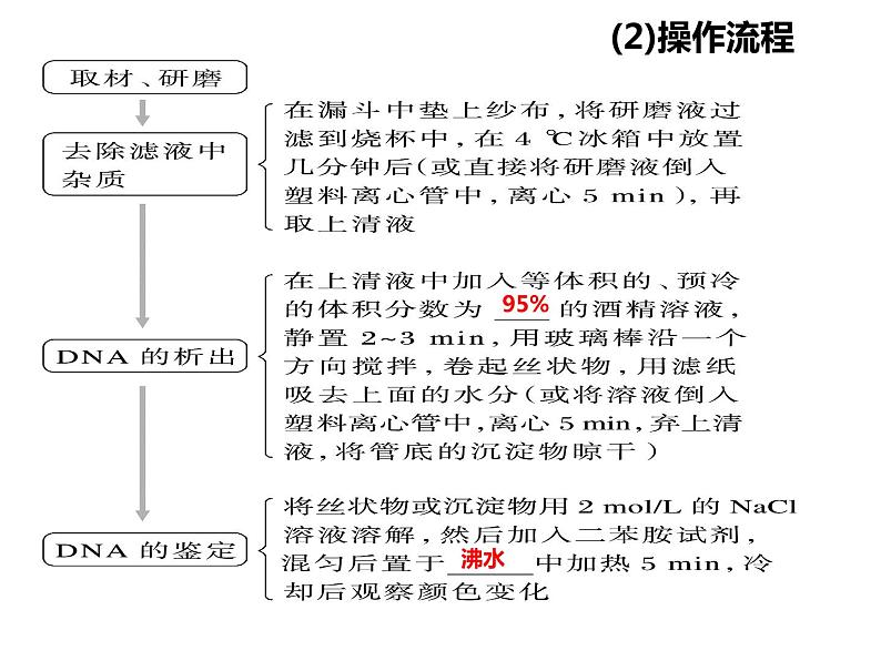 2023届高三生物第一轮复习：基因工程与生物技术的安全性及伦理道德  课件第4页