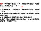 2023届高三生物第一轮复习：基因工程与生物技术的安全性及伦理道德  课件