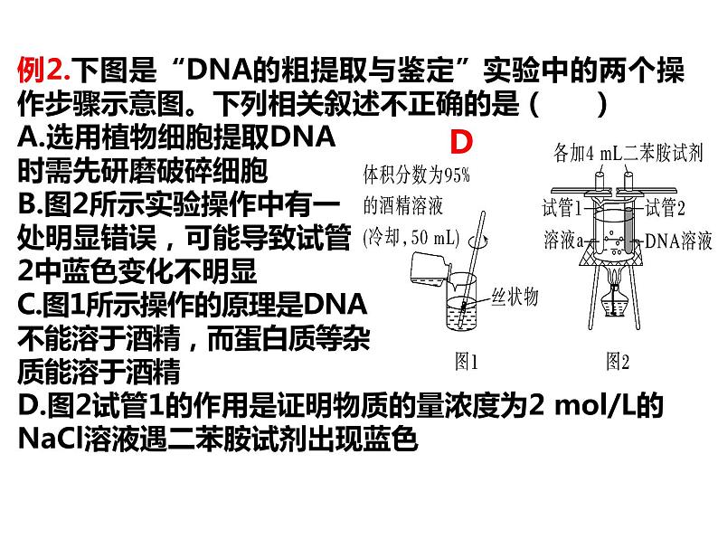 2023届高三生物第一轮复习：基因工程与生物技术的安全性及伦理道德  课件第6页