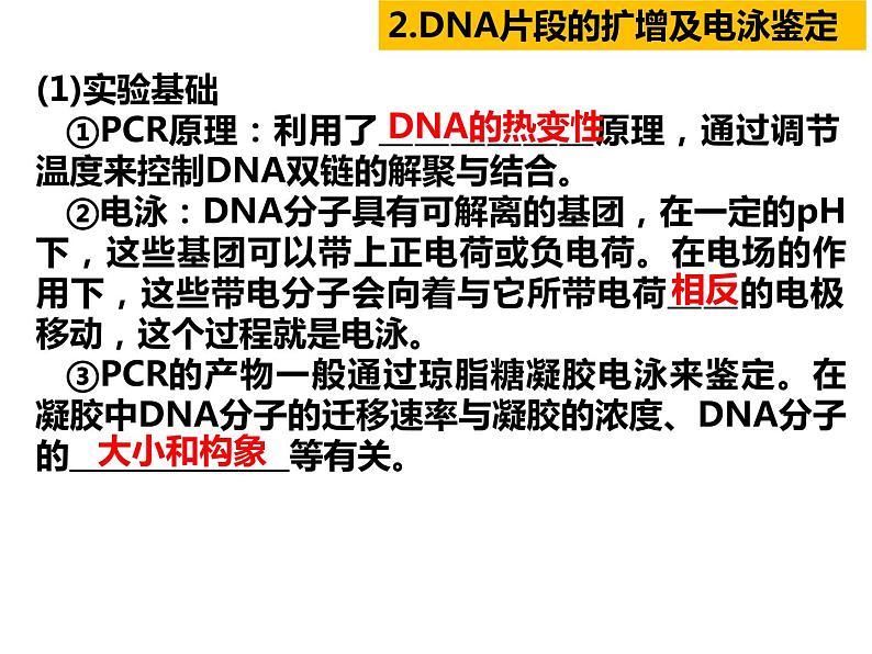 2023届高三生物第一轮复习：基因工程与生物技术的安全性及伦理道德  课件第7页