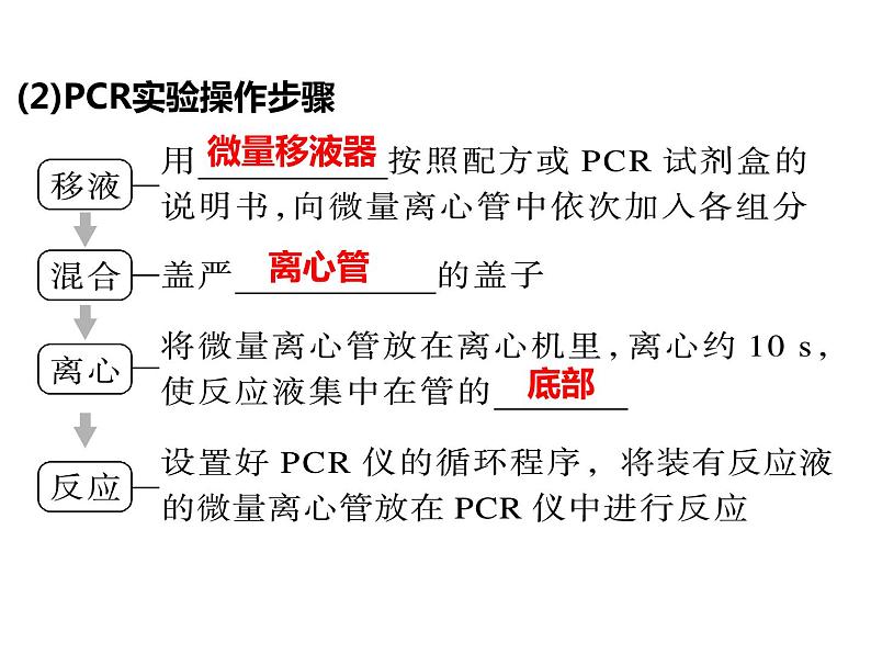 2023届高三生物第一轮复习：基因工程与生物技术的安全性及伦理道德  课件第8页