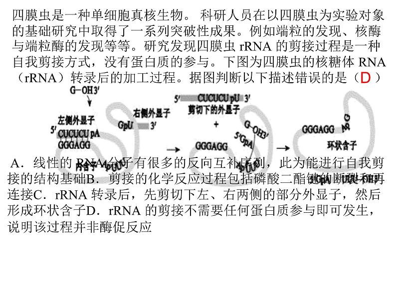 2023届高三生物第一轮复习：酶 课件07