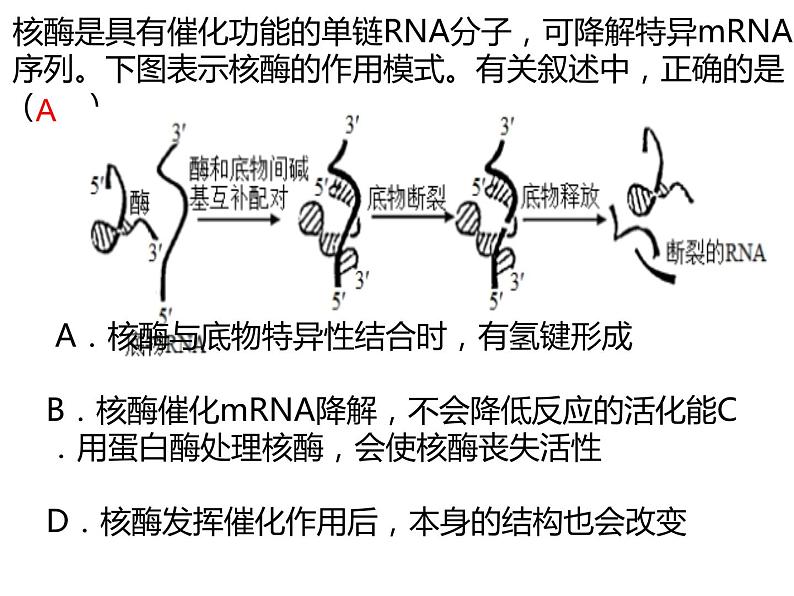 2023届高三生物第一轮复习：酶 课件08