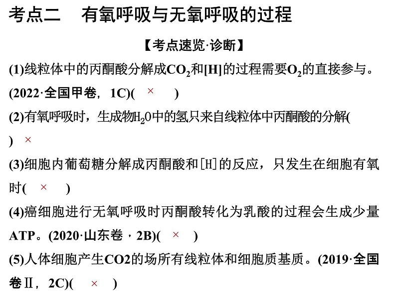 2023届高三生物第一轮复习：细胞呼吸  课件03