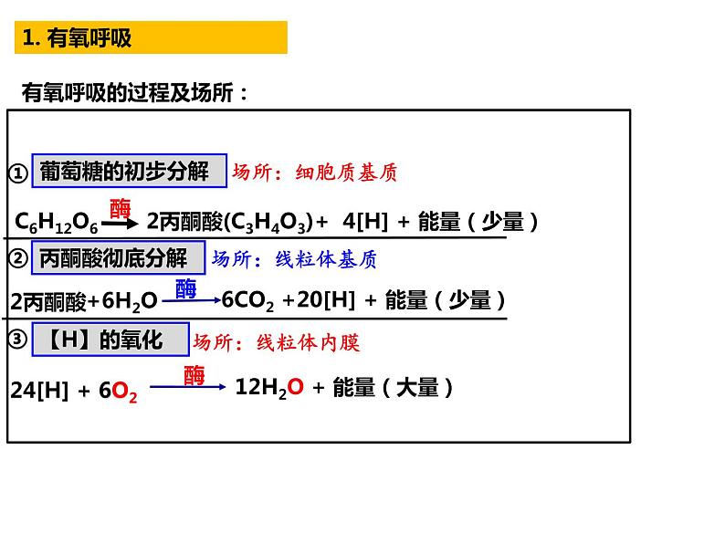 2023届高三生物第一轮复习：细胞呼吸  课件05