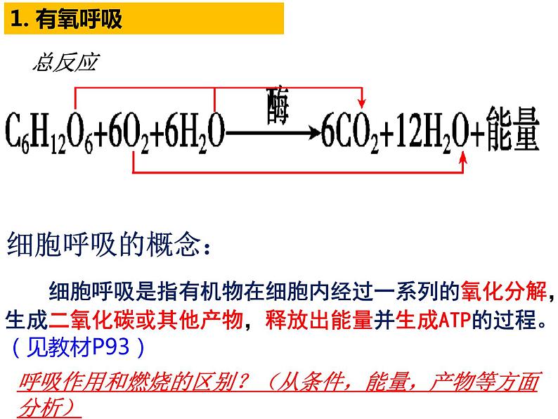 2023届高三生物第一轮复习：细胞呼吸  课件06