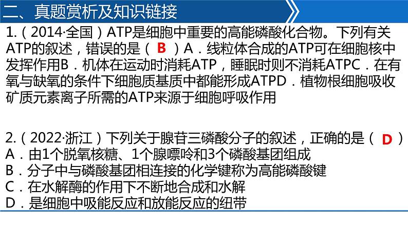 2023届高三生物二轮复习课件：ATP和酶第4页