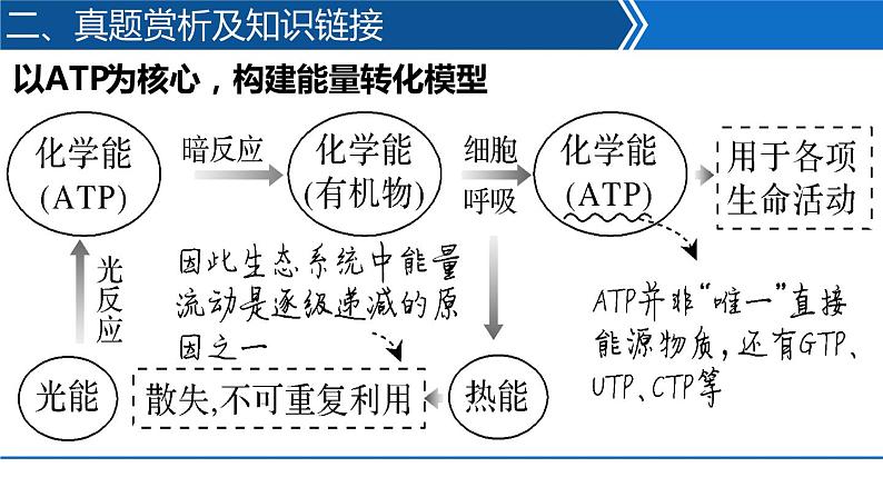 2023届高三生物二轮复习课件：ATP和酶第5页