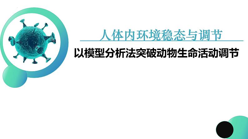 2023届高三生物二轮复习课件神经体液免疫调节第2页