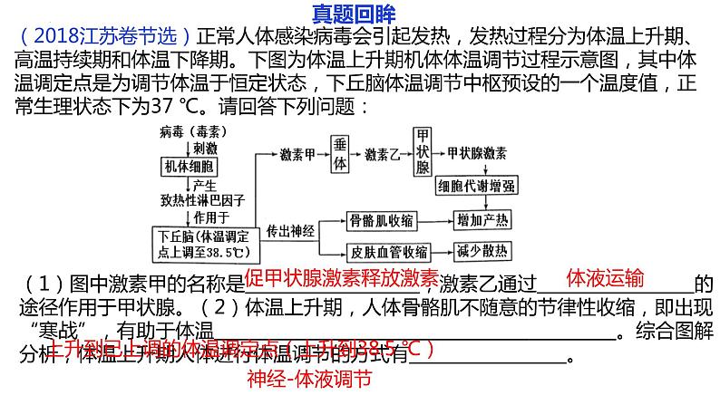 2023届高三生物二轮复习课件神经体液免疫调节第4页