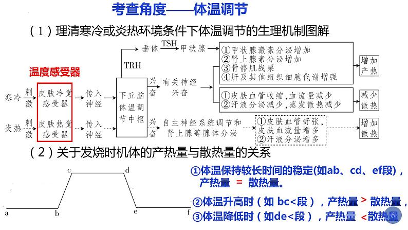 2023届高三生物二轮复习课件神经体液免疫调节第6页