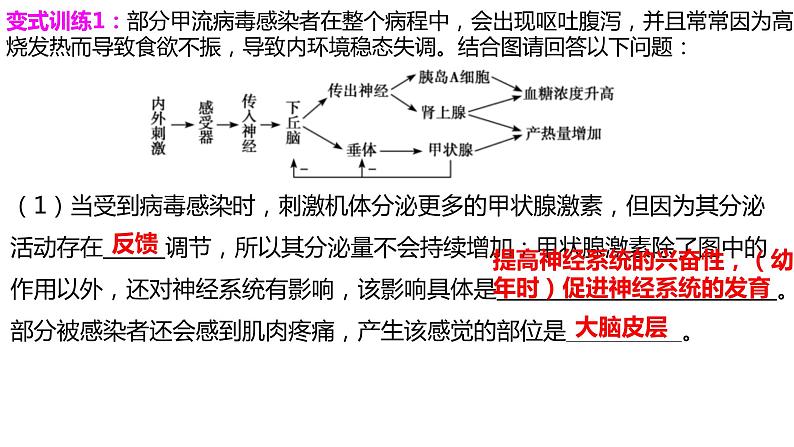 2023届高三生物二轮复习课件神经体液免疫调节第7页