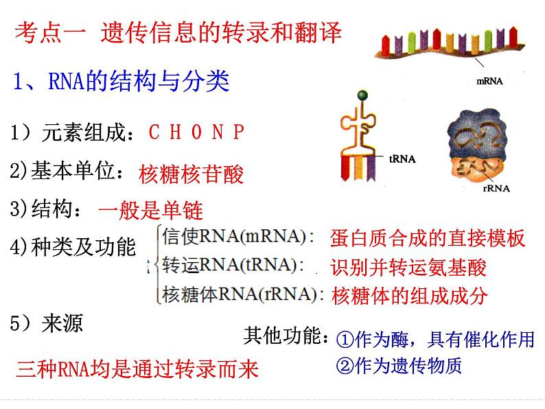 2023届高三生物一轮复习：基因的表达 课件第5页