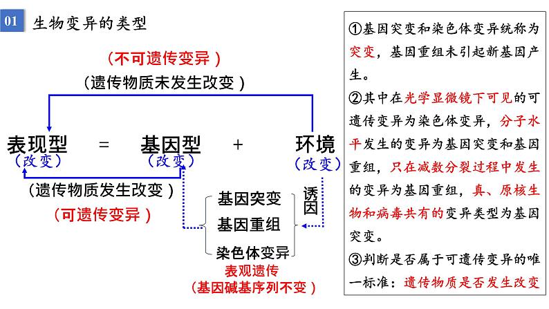 2023届高三生物一轮复习：基因突变和基因重组 课件03