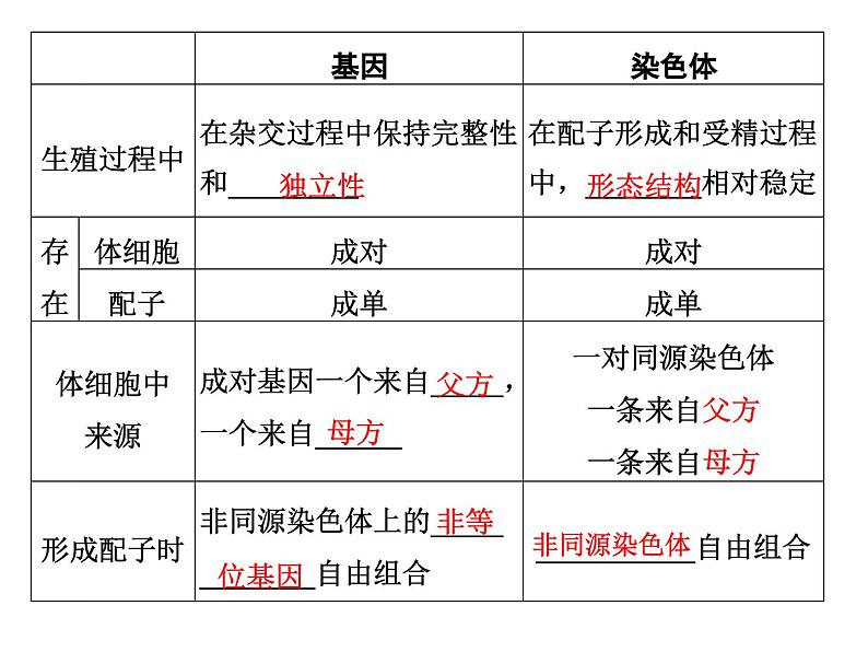 2023届高三生物一轮复习：基因在染色体上与伴性遗传 课件03