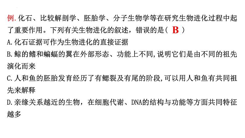 2023届高三生物一轮复习：生物的进化 课件第8页