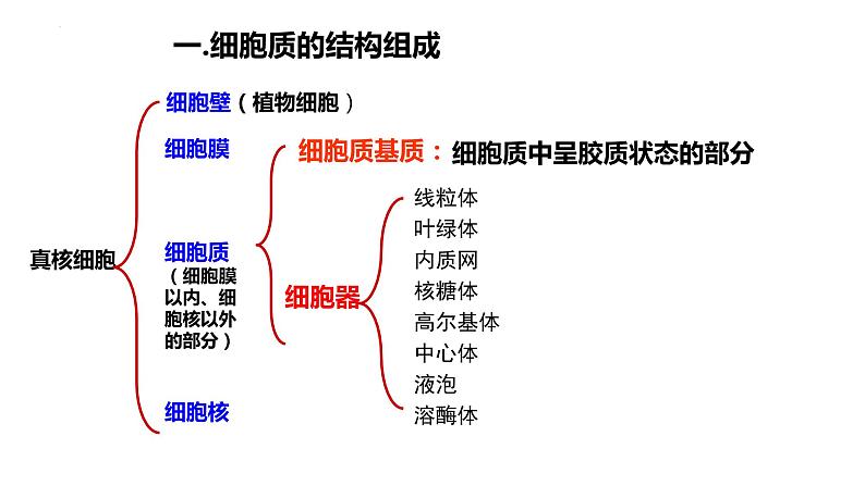 2023届高三生物一轮复习：细胞器 课件第3页