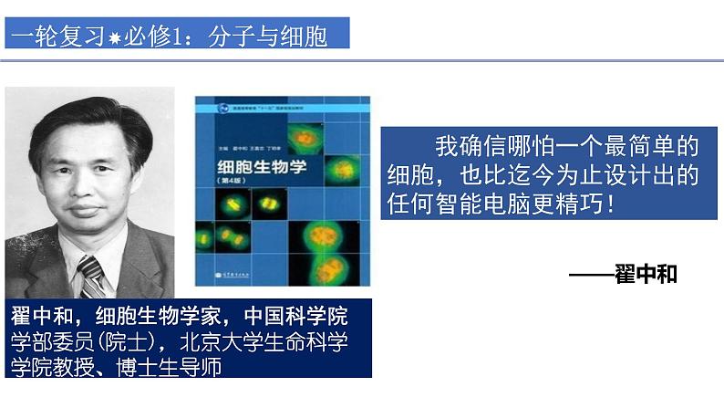 2023届高三生物一轮复习：细胞器之间的分工与合作 课件第1页