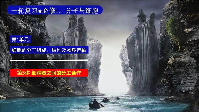 2023届高三生物一轮复习：细胞器之间的分工与合作 课件第2页