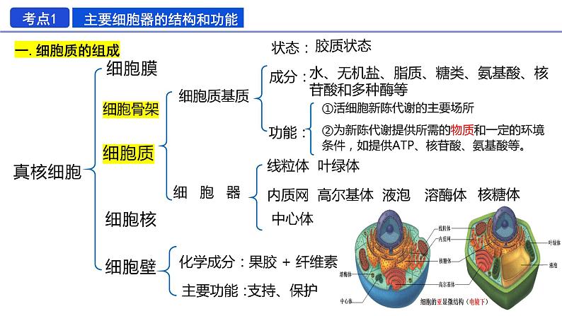 2023届高三生物一轮复习：细胞器之间的分工与合作 课件第6页