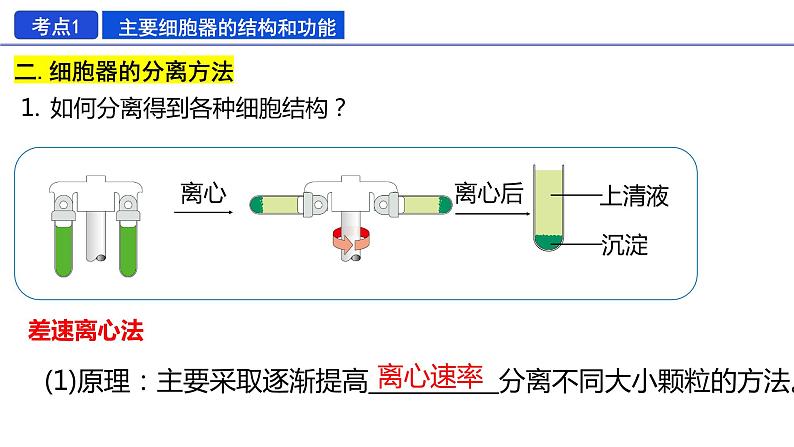 2023届高三生物一轮复习：细胞器之间的分工与合作 课件第7页