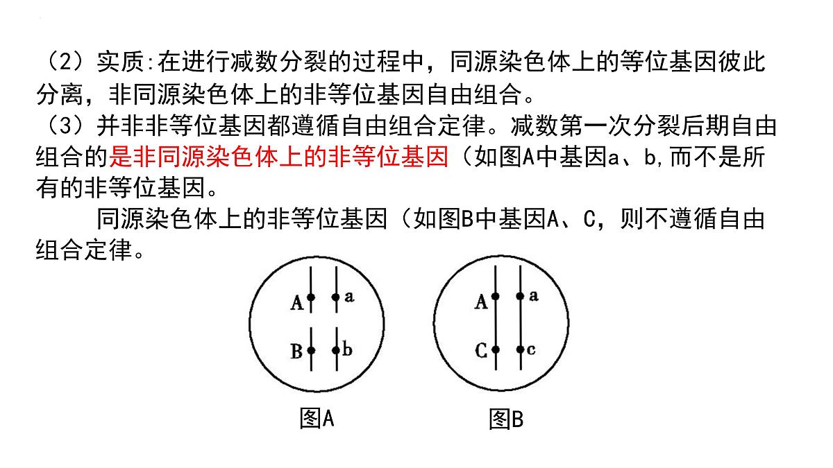 2023届高三生物一轮复习：自由组合定律 课件第3页