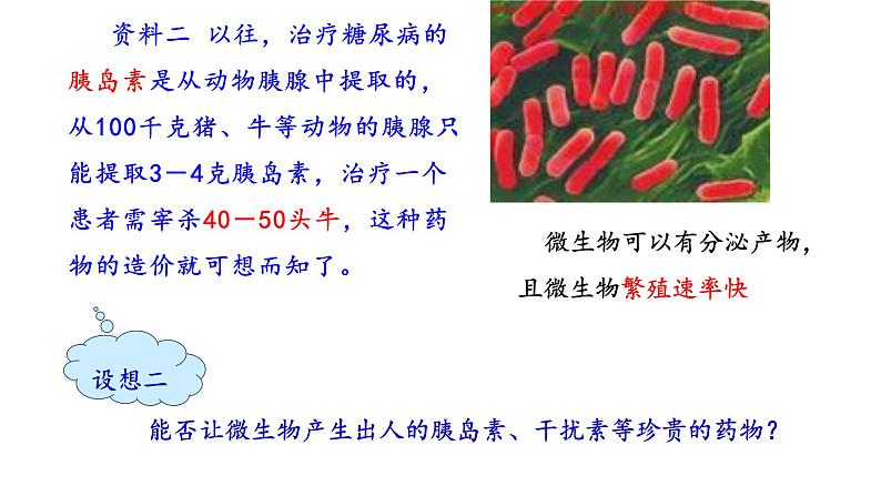 2023届高三生物一轮复习课件 基因工程1【工具】第2页