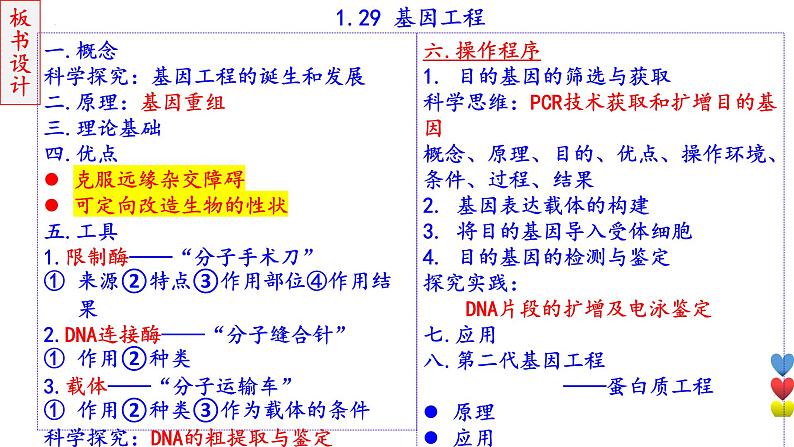 2023届高三生物一轮复习课件 基因工程1【工具】第6页