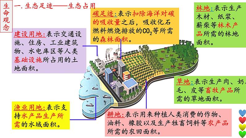 2023届高三生物一轮复习课件 人与环境104