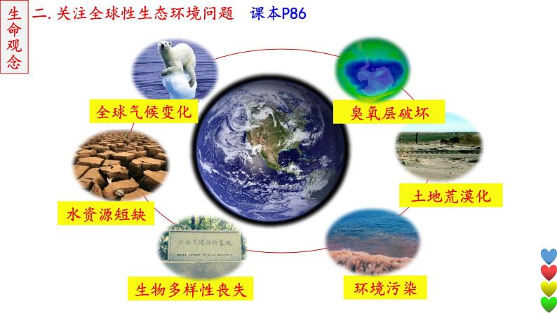 2023届高三生物一轮复习课件 人与环境107