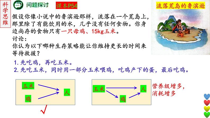 2023届高三生物一轮复习课件 生态系统的结构和功能及其稳定性2【能量流动】第3页